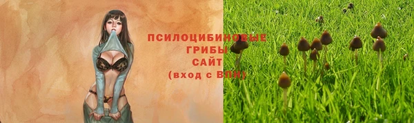 МДМА Нея