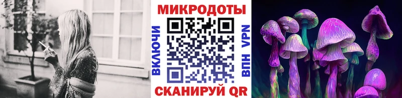 Галлюциногенные грибы Psilocybe Западная Двина