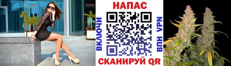 OMG вход  Западная Двина  Конопля сатива  наркошоп 